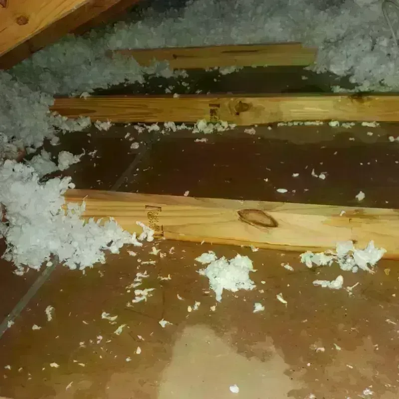 Attic Water Damage in Elk City, OK