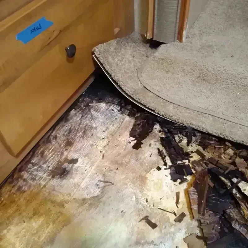 Wood Floor Water Damage in Elk City, OK